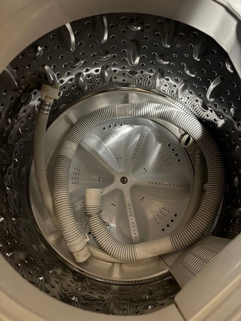 MAXZEN 洗濯機 5.0kg JW50WP01BK 2024年